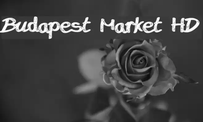 Budapest Market HD Font examples