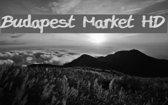 Budapest Market HD Font examples