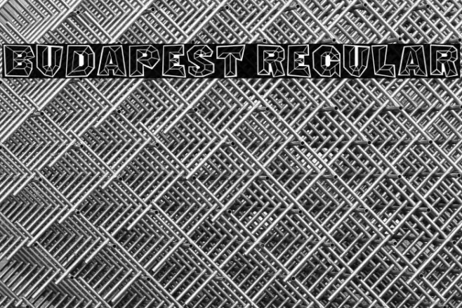Budapest Regular Caratteri examples