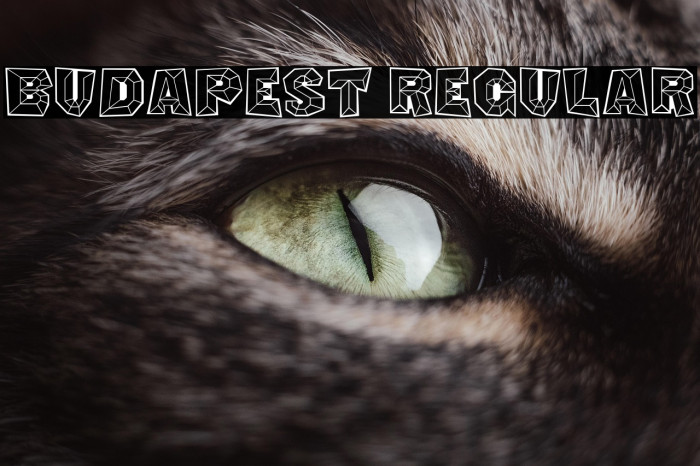 Budapest Regular Example 3
