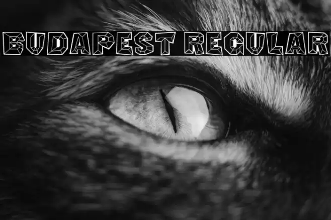 Budapest Regular Caratteri examples