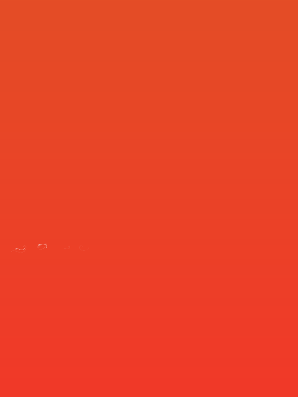 Budapest Swashes Poster