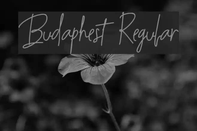 Budaphest Regular Font examples