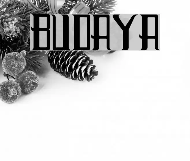 Budaya Font examples