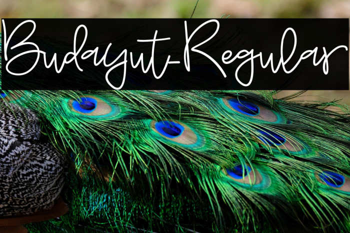 Budayut-Regular Example 1