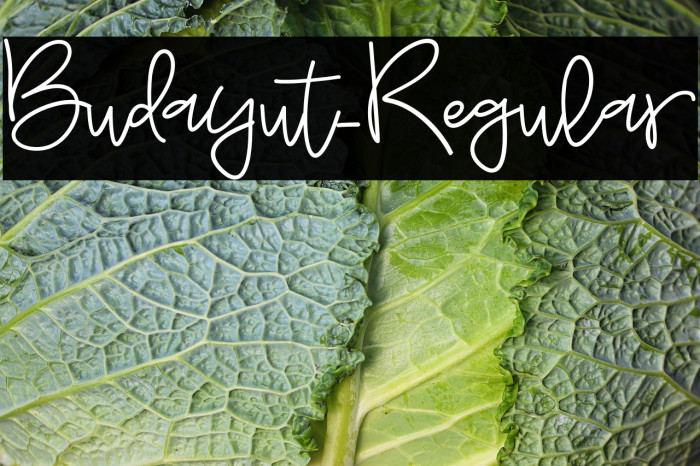 Budayut-Regular Example 2