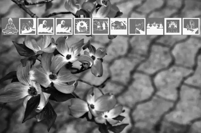 BuddhismTwo Font examples