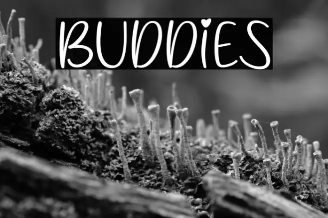 Buddies Example 3
