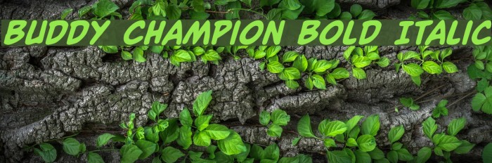 Buddy Champion Bold Italic Font examples