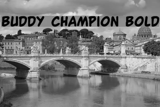 Buddy Champion Bold Example 1
