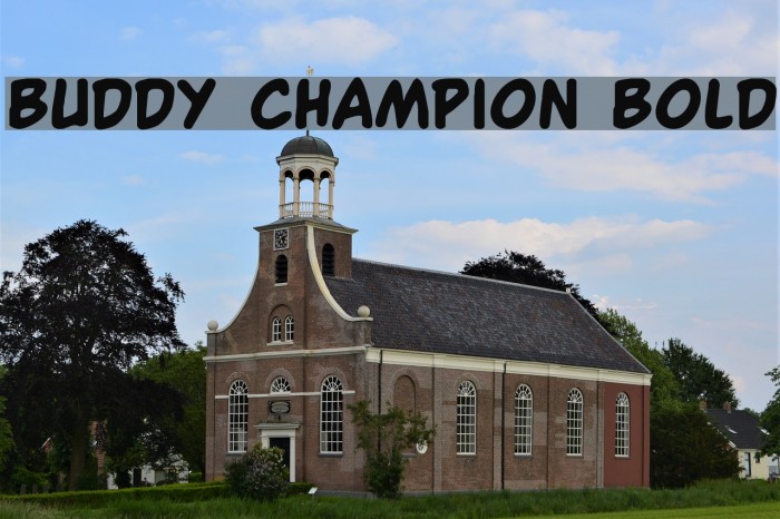Buddy Champion Bold Font examples