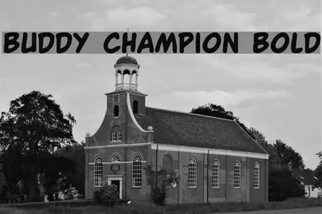 Buddy Champion Bold Example 2