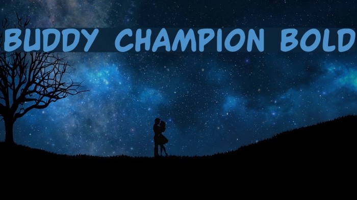 Buddy Champion Bold Font examples
