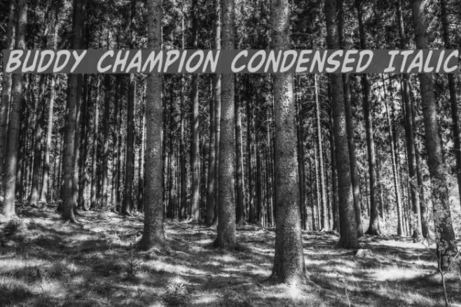 Buddy Champion Condensed Italic Font examples
