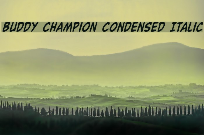 Buddy Champion Condensed Italic Шрифта examples