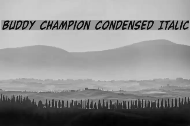 Buddy Champion Condensed Italic Font examples