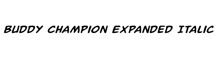 Buddy Champion Expanded Italic Font