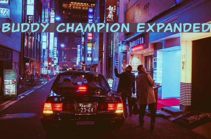 Buddy Champion Expanded Font examples