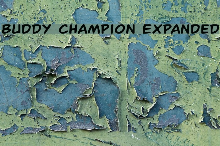 Buddy Champion Expanded Font examples