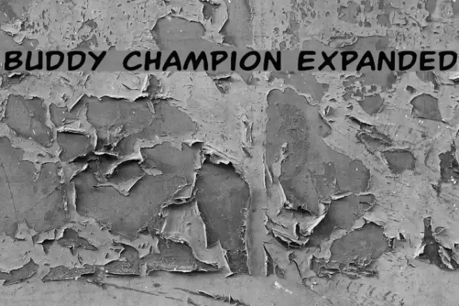 Buddy Champion Expanded Font examples