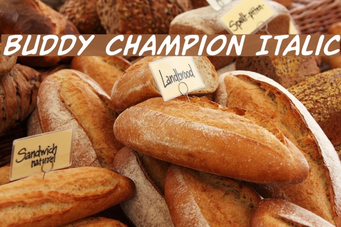 Buddy Champion Italic Font examples