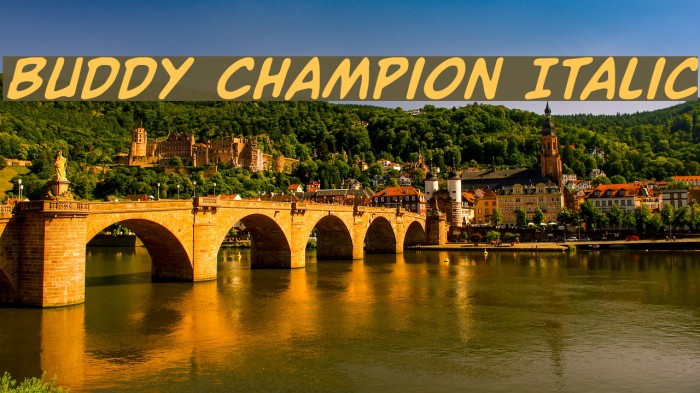 Buddy Champion Italic Font examples