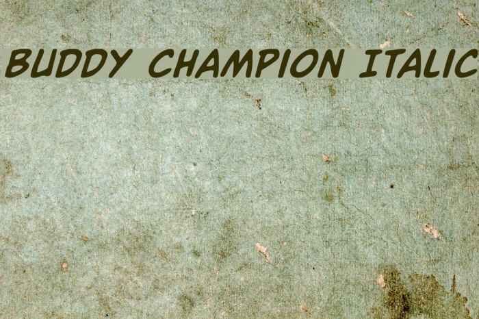 Buddy Champion Italic Font examples