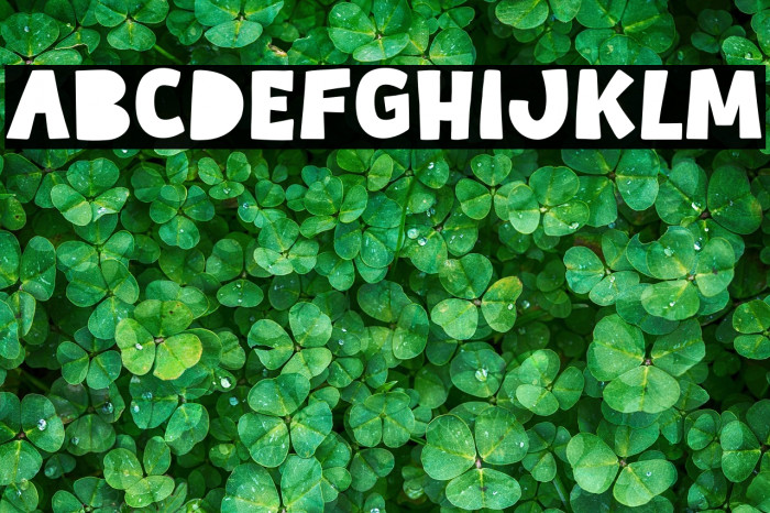 Buddy Story Example 2