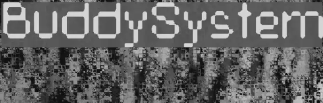 BuddySystem Font examples