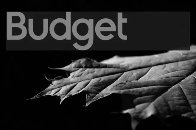 Budget 2012 Font examples