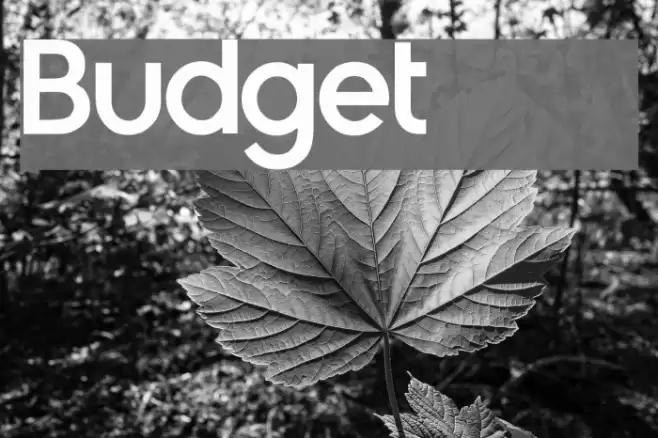 Budget 2012 Font examples