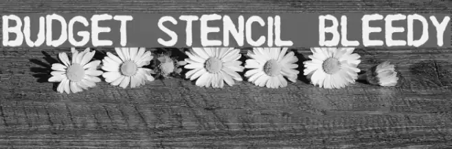 Budget Stencil Bleedy Font examples