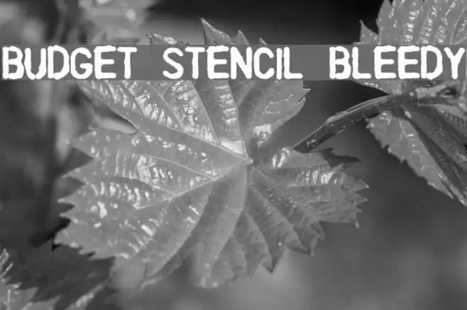 Budget Stencil Bleedy Font examples