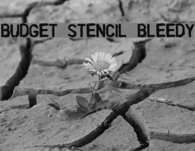 Budget Stencil Bleedy Font examples