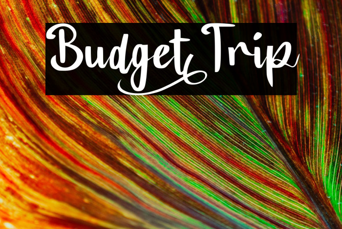 Budget_Trip Example 2