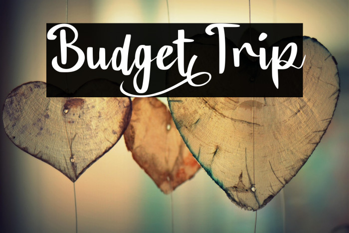 Budget_Trip Example 3