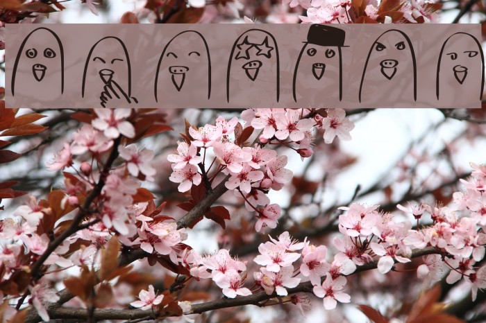 Budgies Font examples