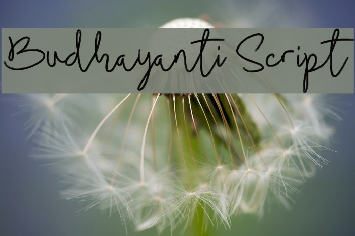 Budhayanti Script Font examples