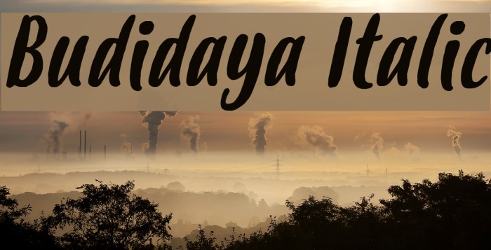 Budidaya Italic Font examples