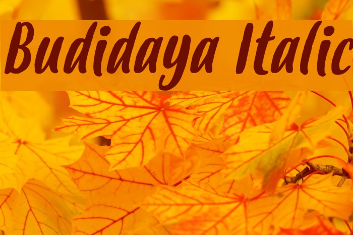 Budidaya Italic Font examples