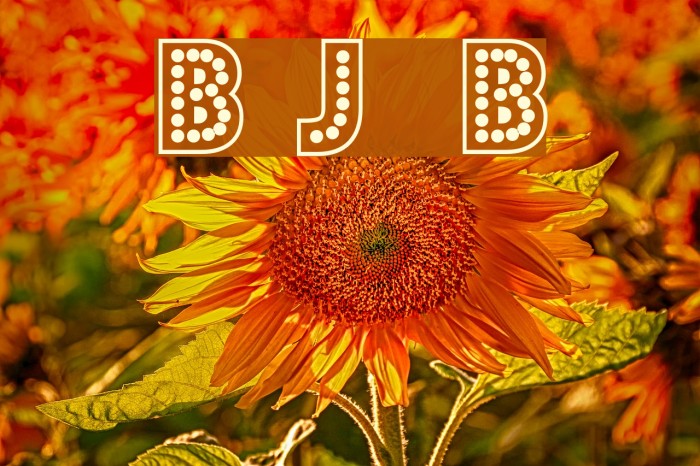 Budmo Jiggler Bold Font examples