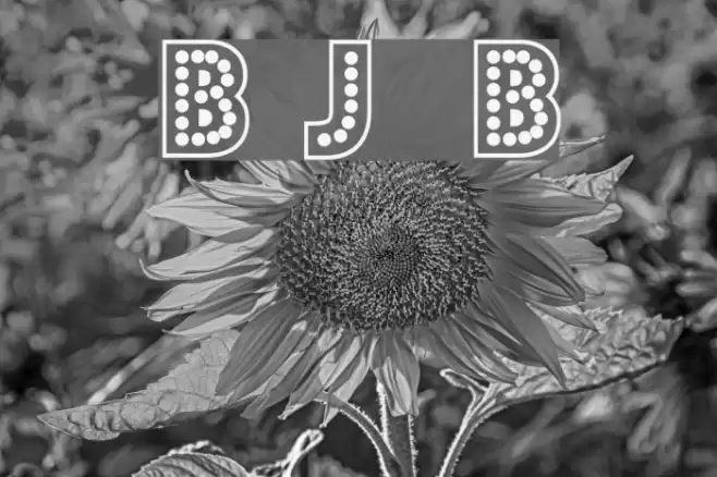 Budmo Jiggler Bold Fonte examples