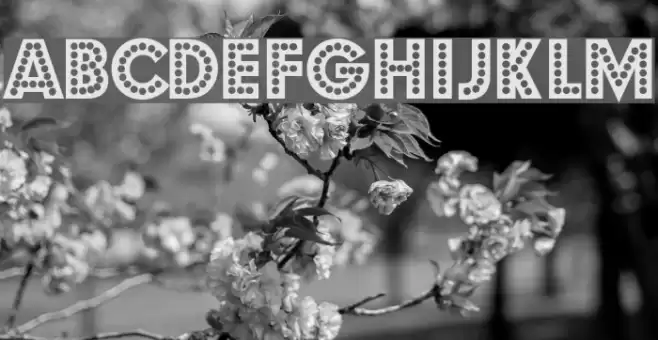 Budmo Jiggler Font examples