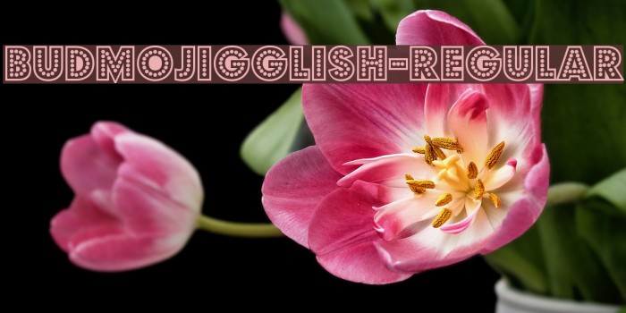 BudmoJigglish-Regular Font examples