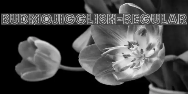 BudmoJigglish-Regular フォント examples