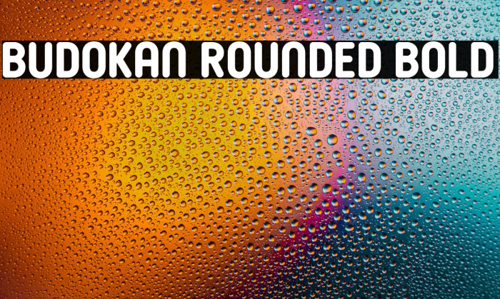 Budokan Rounded Bold Example 1
