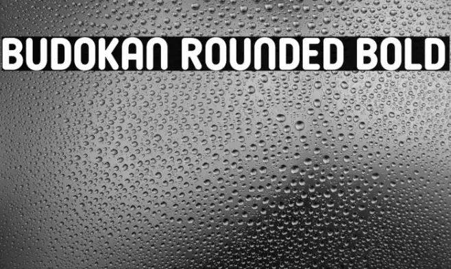 Budokan Rounded Bold Example 1