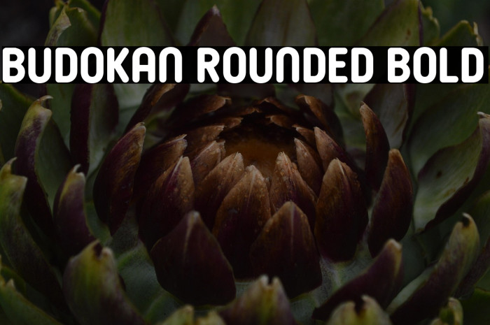 Budokan Rounded Bold Example 2