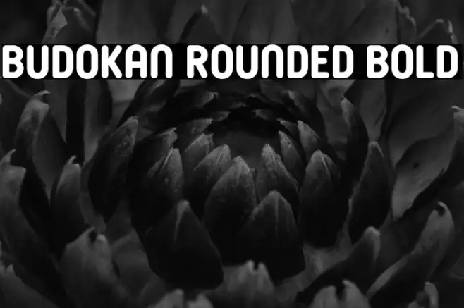 Budokan Rounded Bold Example 2