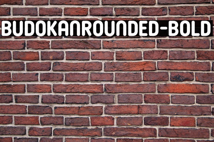 BudokanRounded-Bold Example 1